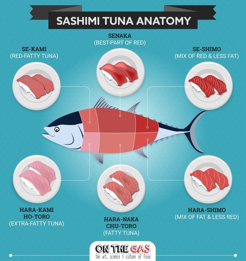 Sushi e cucina giapponese - Scopri il trend del momento Sushi e cucina giapponese - Scopri il trend del momento