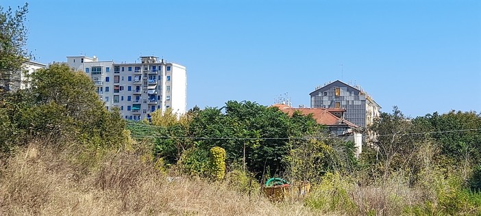 Savona, recupero sempre più complicato per gli Orti Folconi dove il Comune vuole realizzare una struttura sociosanitaria Savona, recupero sempre più complicato per gli Orti Folconi dove il Comune vuole realizzare una struttura sociosanitaria