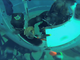 L' orto di Nemo
