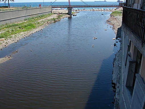 Restauro ecologico dell'oasi faunistica e gestione del verde, il comune di Savona in partner partecipa al "progetto Letimbro" Restauro ecologico dell'oasi faunistica e gestione del verde, il comune di Savona in partner partecipa al "progetto Letimbro"