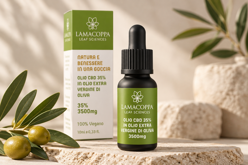 CBD e benessere quotidiano: come sta cambiando il modo di scegliere i prodotti