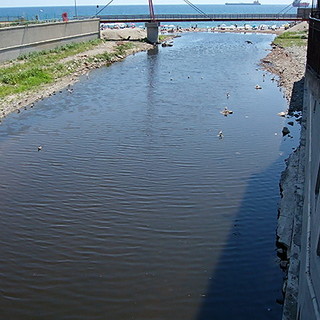 Restauro ecologico dell'oasi faunistica e gestione del verde, il comune di Savona in partner partecipa al "progetto Letimbro"