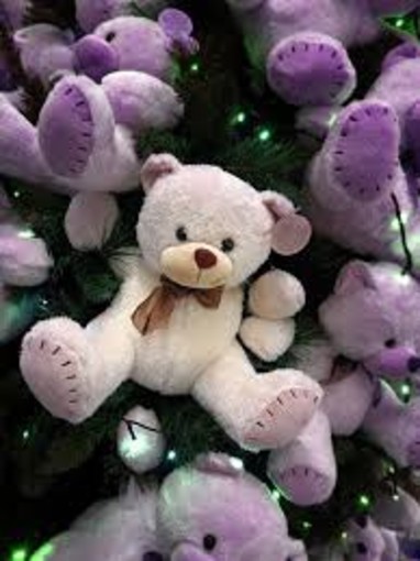 Loano: Teddy bear toss. Con il basket un dono ai bimbi del reparto di oncologia del Gaslini Loano: Teddy bear toss. Con il basket un dono ai bimbi del reparto di oncologia del Gaslini