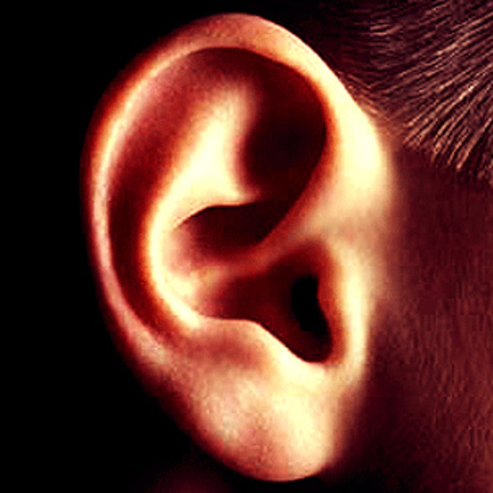 Casa, Turismo, Ambiente, Salute, Lavoro: la mail di un nostro Lettore interpella i sindaci Casa, Turismo, Ambiente, Salute, Lavoro: la mail di un nostro Lettore interpella i sindaci