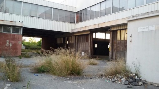 Albenga, al via i lavori di demolizione dell'ex ortofrutticola