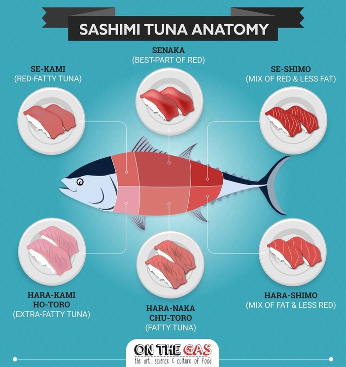 Sushi e cucina giapponese - Scopri il trend del momento Sushi e cucina giapponese - Scopri il trend del momento