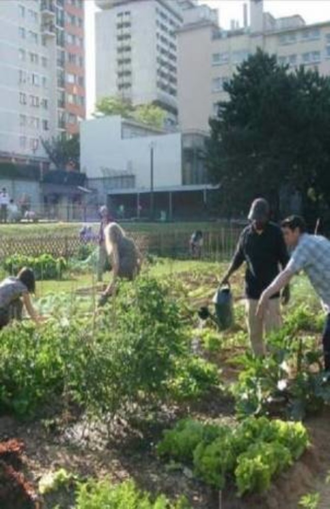 Agricoltori/giardinieri per il Comune Savona: da lunedì il bando per coltivare 23 orti urbani Agricoltori/giardinieri per il Comune Savona: da lunedì il bando per coltivare 23 orti urbani