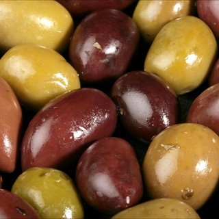 Agricoltura, al via il progetto "Oleoturismo". L'assessore Mai: "Una nuova opportunità per le aziende olivicole di promuovere il loro prodotto"