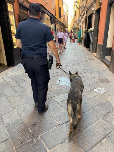 Gira per Alassio in slip e minaccia i carabinieri: denunciato 22enne marocchino