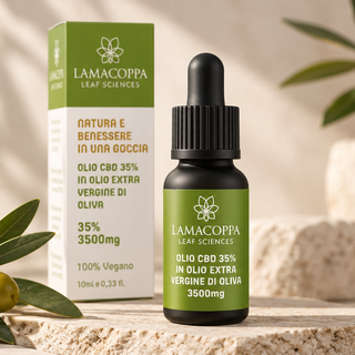 CBD e benessere quotidiano: come sta cambiando il modo di scegliere i prodotti