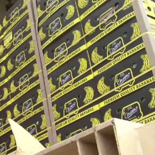 "Fidi facili" Carige: blitz della Guardia di Finanza nella sede del Gruppo Orsero