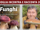 "Funghi che passione!": Nicolò Oppicelli ospite della rassegna "Mioglia Incontra e Racconta"