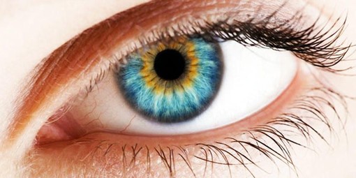 Savona, l'Unione Italiana Ciechi ed Ipovedenti aderisce alla settimana mondiale del glaucoma Savona, l'Unione Italiana Ciechi ed Ipovedenti aderisce alla settimana mondiale del glaucoma