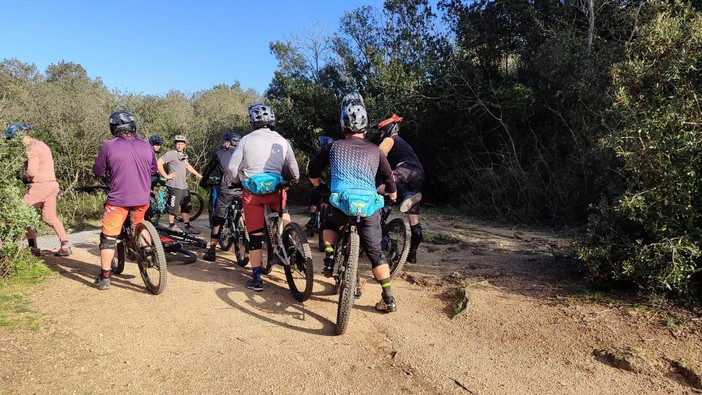 Sinergie pubblico-privato e turismo sostenibile: confronto tra Provincia e Consorzio FOR Sinergie pubblico-privato e turismo sostenibile: confronto tra Provincia e Consorzio FOR