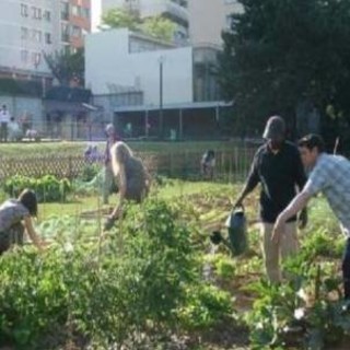 Agricoltori/giardinieri per il Comune Savona: da lunedì il bando per coltivare 23 orti urbani