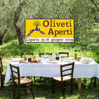 Turismo esperienziale: alla scoperta dell’oro ligure con &quot;oliveti aperti&quot;