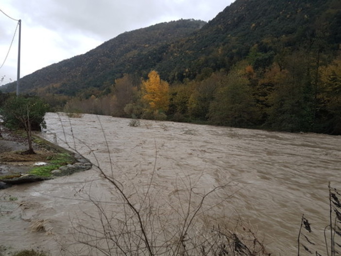 Briglia rotta ad Ortovero, aziende e famiglie senza acqua irrigua, Delfino: "Economia del nostro paese a rischio"