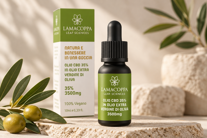 CBD e benessere quotidiano: come sta cambiando il modo di scegliere i prodotti CBD e benessere quotidiano: come sta cambiando il modo di scegliere i prodotti