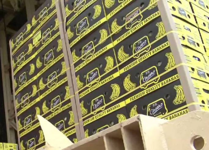 Orsero completa l'acquisto del rimanente 50% del capitale di Moncada Frutta
