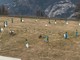 Schianto mortale ad Andora: Sauze d'Oulx ricorda Simone Gai (FOTO) Schianto mortale ad Andora: Sauze d'Oulx ricorda Simone Gai (FOTO)