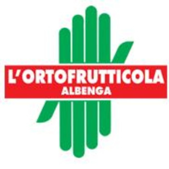 Albenga, approvato il bilancio 2013 della cooperativa "l'Ortofrutticola" Albenga, approvato il bilancio 2013 della cooperativa "l'Ortofrutticola"