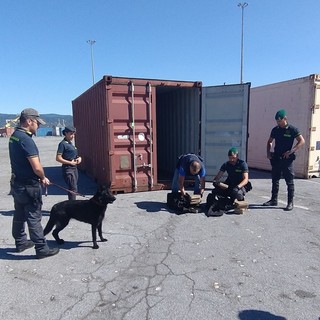 Dal Sud America a Vado Ligure la rotta della droga: maxi operazione della Finanza, 17 arresti (VIDEO) Dal Sud America a Vado Ligure la rotta della droga: maxi operazione della Finanza, 17 arresti (VIDEO)