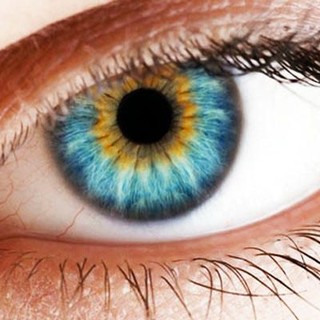 Savona, l'Unione Italiana Ciechi ed Ipovedenti aderisce alla settimana mondiale del glaucoma