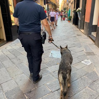 Gira per Alassio in slip e minaccia i carabinieri: denunciato 22enne marocchino