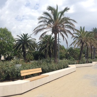 Savona, il comune appalta la gestione del verde pubblico, i Verdi puntano il dito contro l'amministrazione Caprioglio