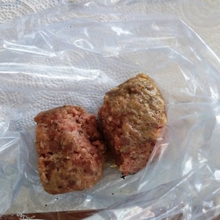 Allarme polpette avvelenate a Stella Allarme polpette avvelenate a Stella