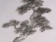 La pittura Sumi La pittura Sumi