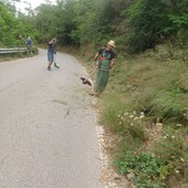 Savona, i residenti di via Valcada e alla Strà puliscono la strada dalle erbacce: "Avevamo fatto segnalazione al Comune, nessuno è intervenuto"