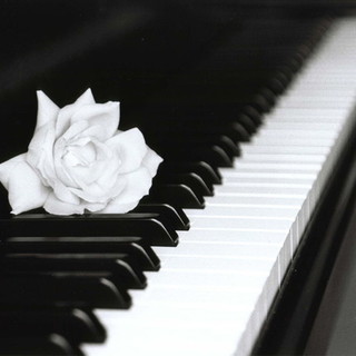 "La Notte dei Pianisti" ritorna a Savona