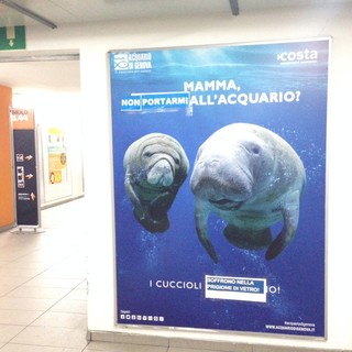 A Vado Ligure ignoti animalisti contro gli spot dell'Acquario di Genova