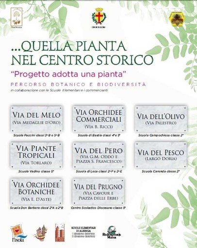 Albenga, al via "Quella pianta nel centro storico"