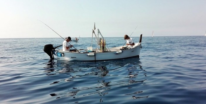 A Savona la presentazione del bando pubblico per la realizzazione di Info-Point della pesca A Savona la presentazione del bando pubblico per la realizzazione di Info-Point della pesca