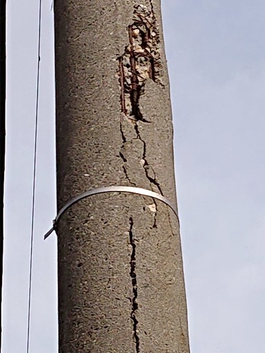 Albenga: segnalazione in viale Pontelungo: "Il palo della luce sta cadendo a pezzi" Albenga: segnalazione in viale Pontelungo: "Il palo della luce sta cadendo a pezzi"