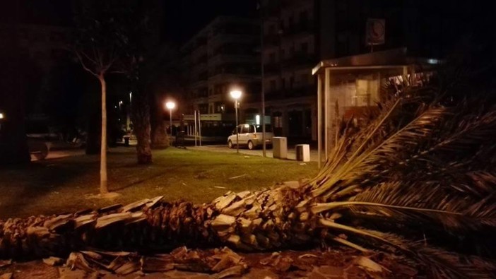 Foto tratte dalla pagina Facebook "Sei di Andora se..."