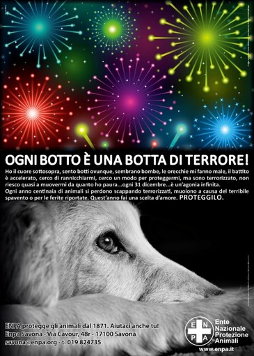 Savona, Enpa e il Comitato Aree Canine lanciano la petizione 'anti botti' Savona, Enpa e il Comitato Aree Canine lanciano la petizione 'anti botti'