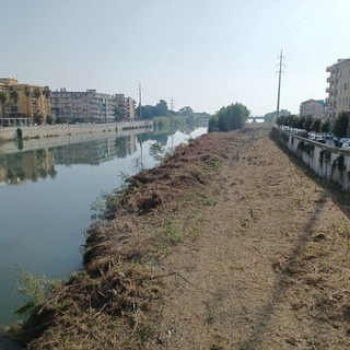 Pulizia dei fiumi, Brescia e Spanò (Europa Verde-Verdi) rispondono a Mai (Lega): "La Regione dia dei contributi ai sindaci"