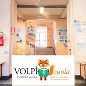 Educazione sessuale nelle scuole superiori, nel Savonese torna il progetto “Volpi a scuola”