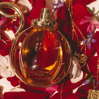 Profumi di Nicchia: L'Incantevole Universo delle Fragranze Esclusive