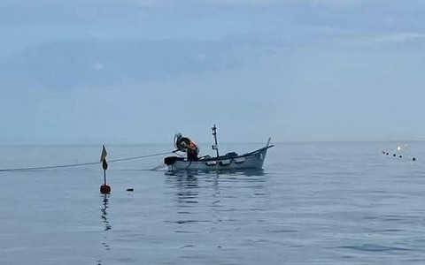 Celle e l'ultimo pescatore "Ciccio" Tarrini: i tonnetti e il "bottino" di 50 kg