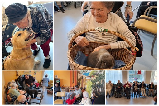 Savona, con la pet therapy il cagnolino Leone, le coniglie Girella e Penelope fanno felici gli ospiti de La Riviera Savona, con la pet therapy il cagnolino Leone, le coniglie Girella e Penelope fanno felici gli ospiti de La Riviera