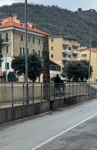 "Impegno per Finale": "Palma collassata al suolo a Pia, poca attenzione al verde pubblico" "Impegno per Finale": "Palma collassata al suolo a Pia, poca attenzione al verde pubblico"