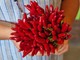 Tutti i benefici del peperoncino: piccante e salutare Tutti i benefici del peperoncino: piccante e salutare