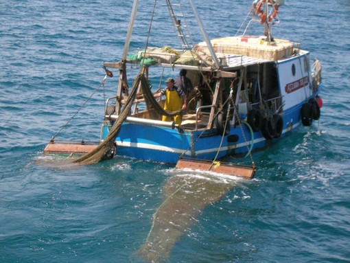 UE, Coldiretti Pesca: "Ottenute misure meno severe che favoriscono l’intero settore" UE, Coldiretti Pesca: "Ottenute misure meno severe che favoriscono l’intero settore"