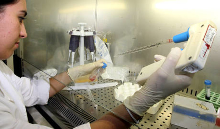 Liguria, nove neoassunti su 10 precari