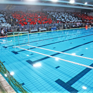 Len Euro Cup. Il maxischermo sarà alla Piscina Zanelli. Dalle 17:00 l'happening biancorosso, alle 18:00 via alla partita tra Vasas e Rari Nantes Savona