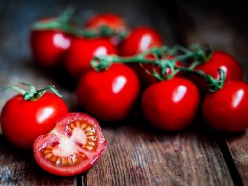 A caccia del sapore perduto: stop pomodori senza gusto A caccia del sapore perduto: stop pomodori senza gusto